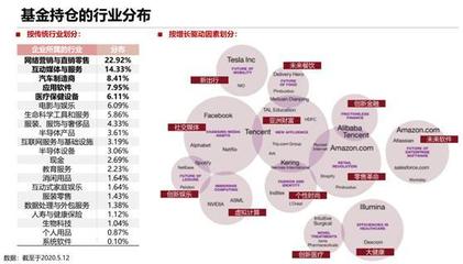 砸崩特斯拉的BG究竟什么來(lái)頭？軟件外包服務(wù)全景解析